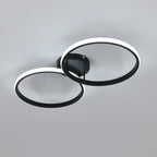 Ceiling Light - Black Aluminium Frame, White Light