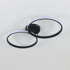 Ceiling Light - Black Aluminium Frame, White Light