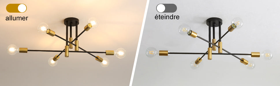 Ceiling Light - Black & Gold Metal Frame