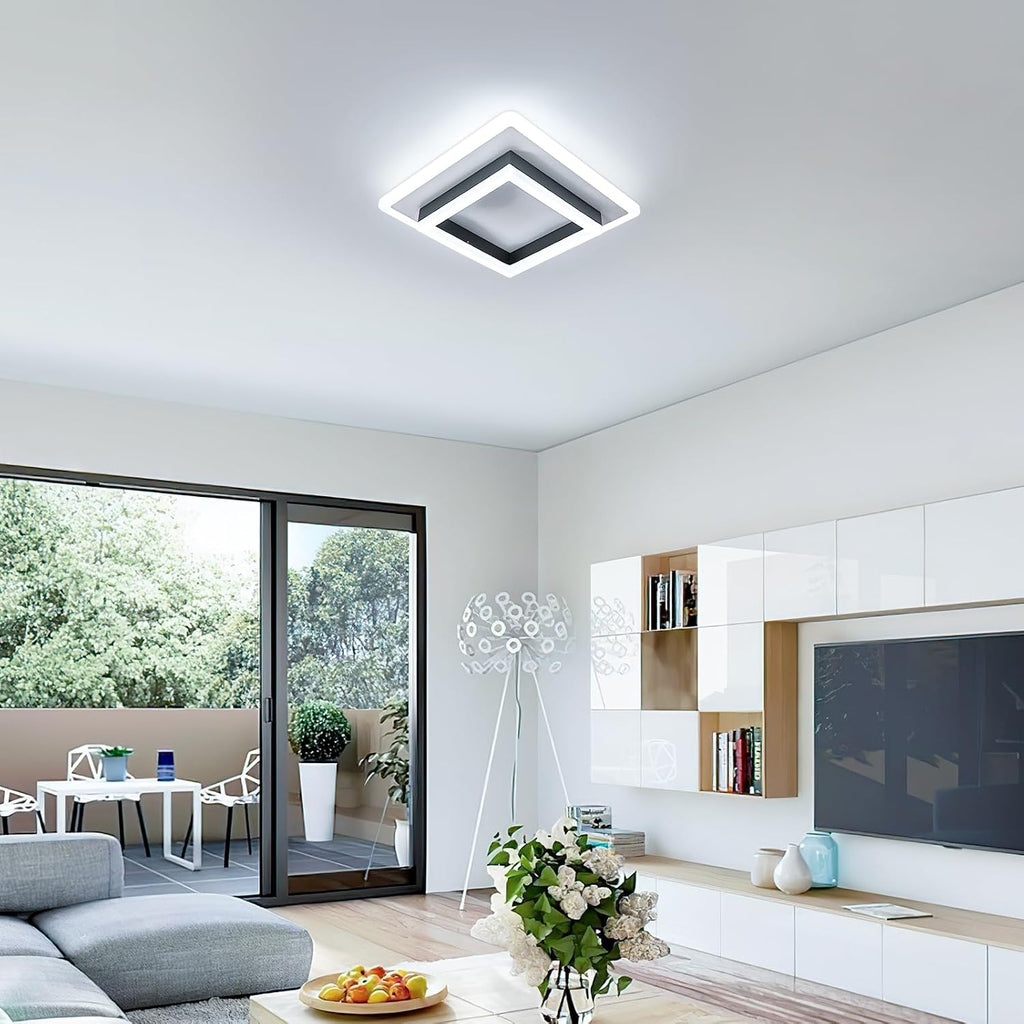 Ceiling Light - Black & White Acrylic Frame, White Light