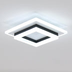 Ceiling Light - Black & White Acrylic Frame, White Light