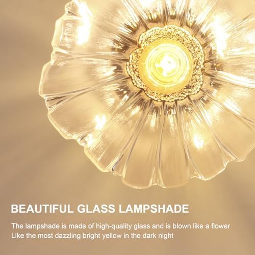Comely Plafonnier de couloir, E27 Lampe de plafond en forme de fleur, petit or Luminaire Plafonnier en verre transparent, diamètre 28cm, ampoule non incluse