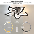Ceiling Light - Black Acrylic Frame, Tunable and Dimmable