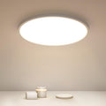 Ceiling Light - White Plastic Frame, Natural Light