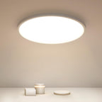 Ceiling Light - White Plastic Frame, Natural Light