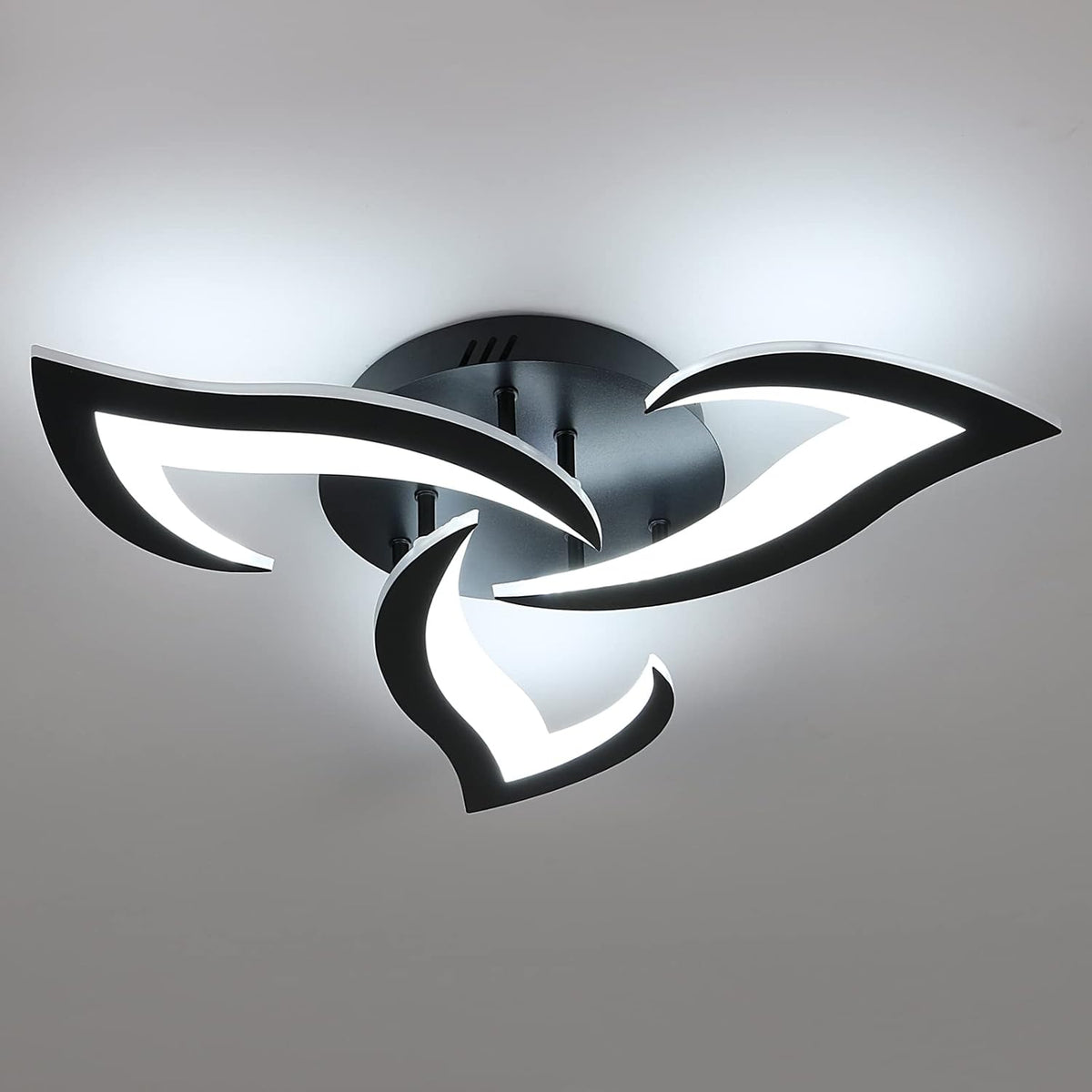 Ceiling Light - Black Acrylic Frame, White Light
