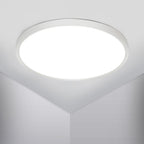 Ceiling Light - White Plastic Frame, White Light