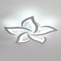 Ceiling Light - Silver Acrylic Frame, White Light