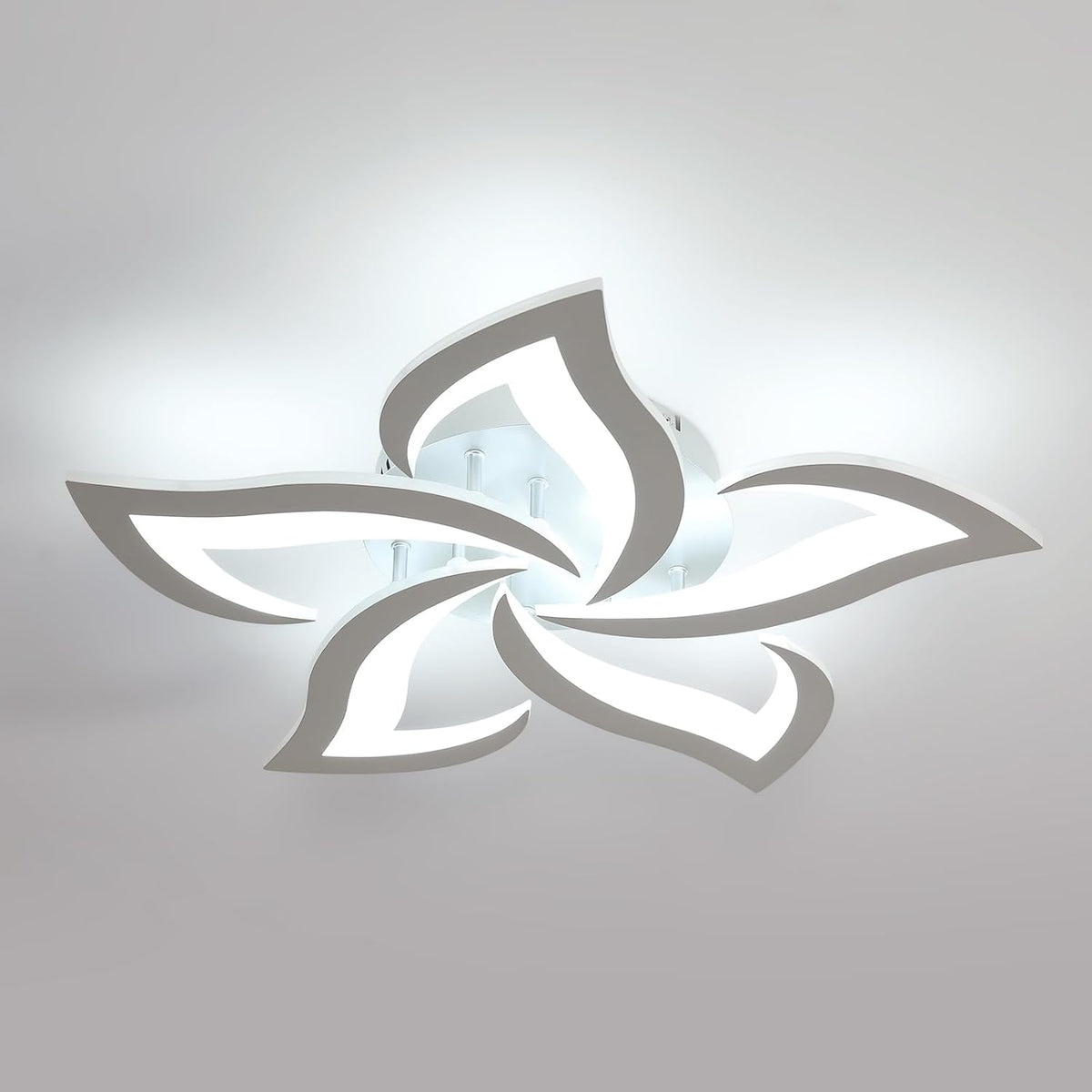Ceiling Light - Silver Acrylic Frame, White Light