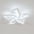 Ceiling Light - White Acrylic Frame, White Light