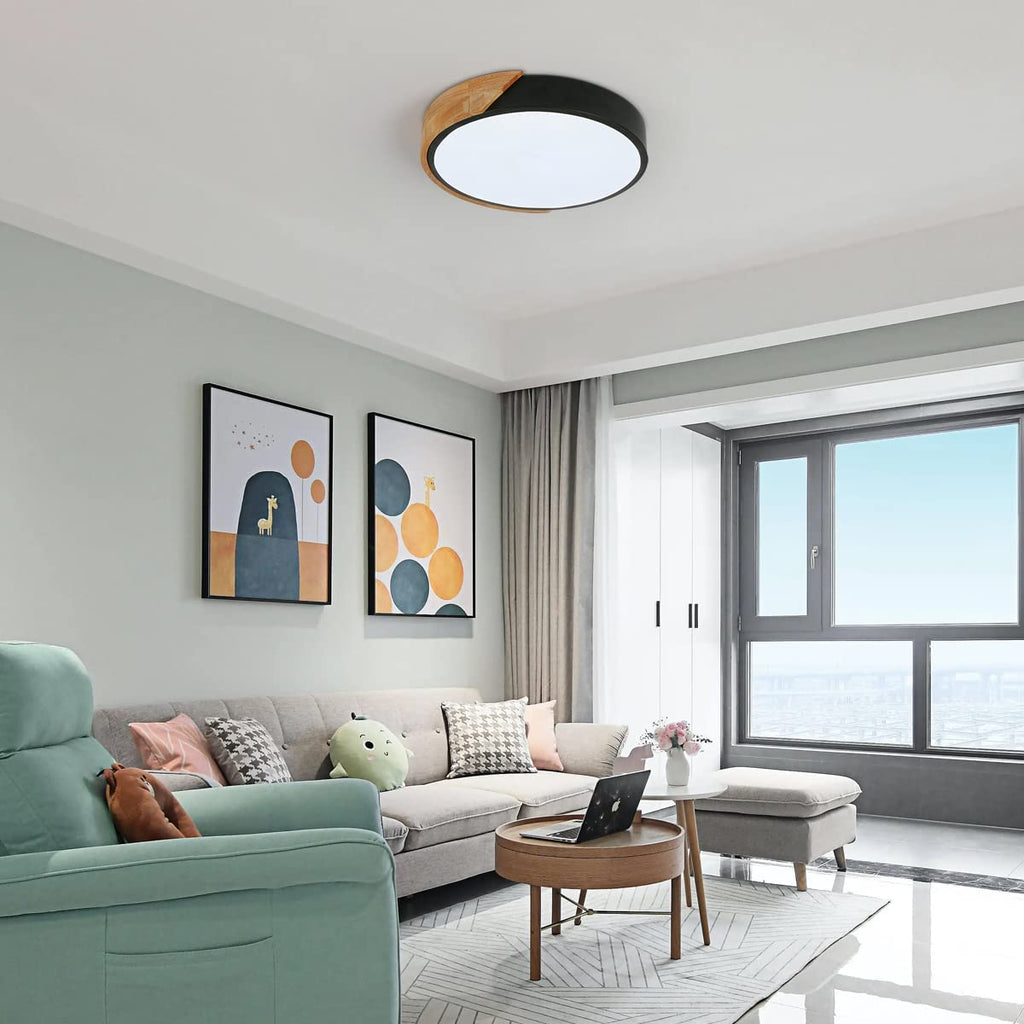 Ceiling Light - Black Metal Frame, White Light