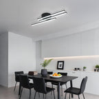 Ceiling Light - Black Aluminium Frame, White Light
