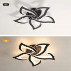 Ceiling Light - Black Acrylic Frame, Warm Light