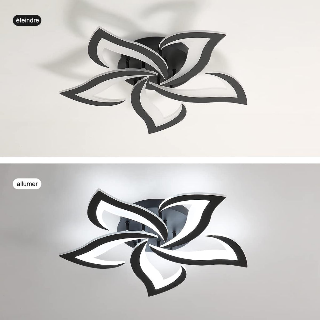 Ceiling Light - Black Acrylic Frame, White Light