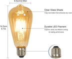 LED Light Bulbs - Amber Glass Frame, Warm Light