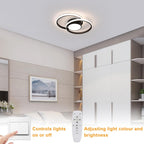 Ceiling Light - Black Metal Frame, Tunable and Dimmable