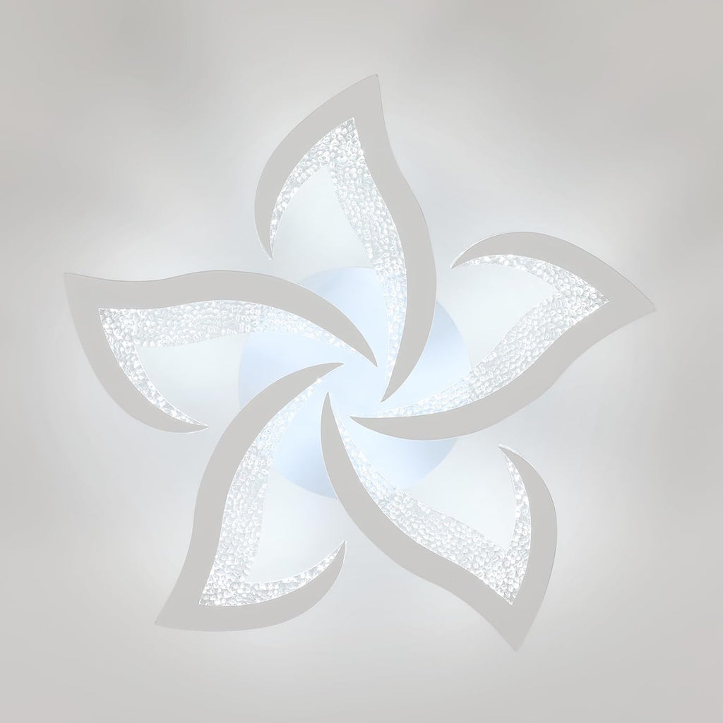 Ceiling Light - White Acrylic Frame, White Light