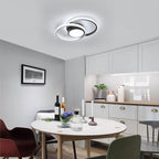 Ceiling Light - Black & White Metal Frame, White Light