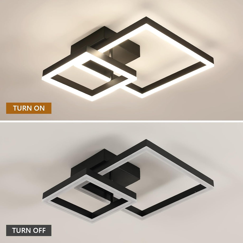 Ceiling Light - Black Acrylic Frame, Natural Light
