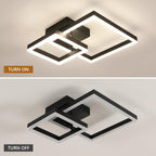 Ceiling Light - Black Acrylic Frame, Natural Light