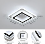 Ceiling Light - Black & White Acrylic Frame, White Light