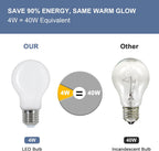 LED Light Bulbs - White Glass Frame, Warm Light