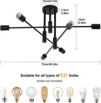 Ceiling Light - Black Metal Frame