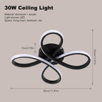 Ceiling Light - Black Aluminium Frame, Natural Light