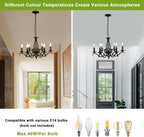 Chandeliers - Black Metal Frame