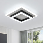 Ceiling Light - Black & White Acrylic Frame, White Light