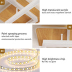 Ceiling Light - Wood Acrylic Frame, Tunable and Dimmable