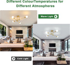 Ceiling Light - Gold Metal Frame