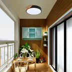 Ceiling Light - Black Metal Frame, White Light