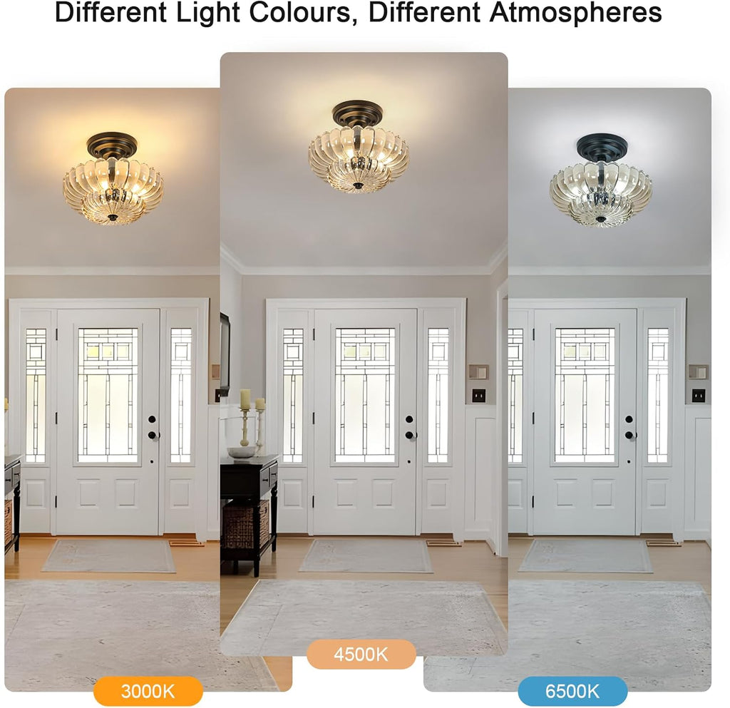 Ceiling Light - Black Glass Frame