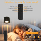 Wall Light - Black Plastic Frame, Tunable and Dimmable