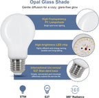 LED Light Bulbs - White Glass Frame, Warm Light