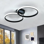 Ceiling Light - Black Aluminium Frame, White Light