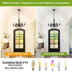 Chandeliers - Black Metal Frame