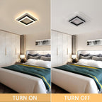 Ceiling Light - Black & White Acrylic Frame, Warm Light