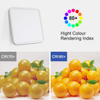 Ceiling Light - White Plastic Frame, White Light