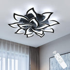Ceiling Light - Black Acrylic Frame, Tunable and Dimmable