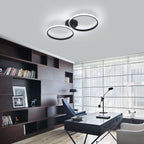 Ceiling Light - Black Aluminium Frame, White Light