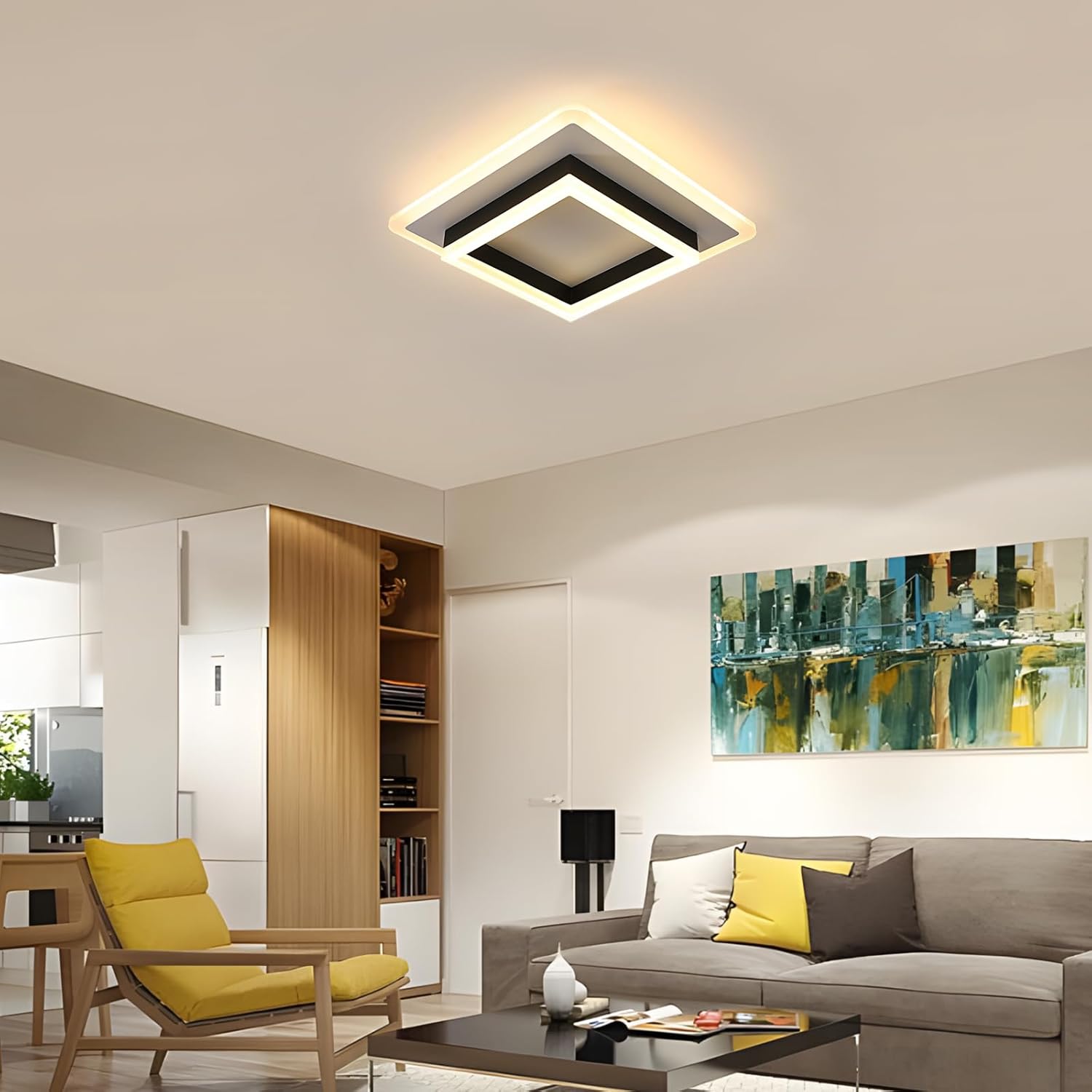 Ceiling Light - Black & White Acrylic Frame, Warm Light