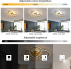 Ceiling Light - Gold Acrylic Frame, Tunable and Dimmable