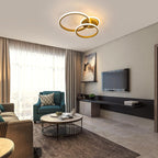 Ceiling Light - Gold Acrylic Frame, Warm Light