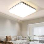 Ceiling Light - White Plastic Frame, Natural Light