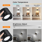 Wall Light - Black Plastic Frame, Tunable and Dimmable