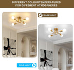 Ceiling Light - Gold Metal Frame