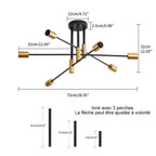 Ceiling Light - Black & Gold Metal Frame