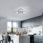Ceiling Light - Black Acrylic Frame, White Light